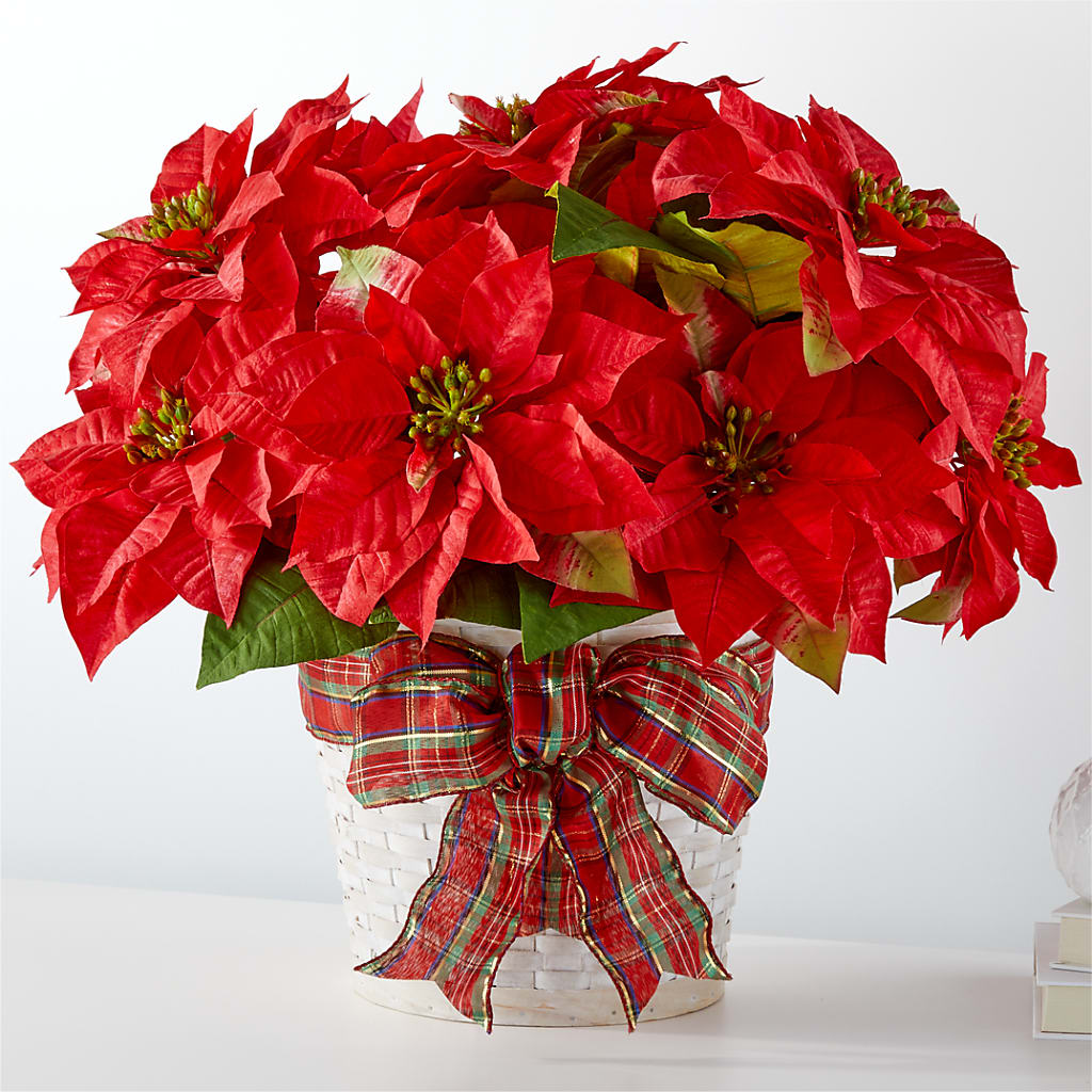 Happiest Holidays Poinsettia – MY LADY'S FLORIST, Westland MI