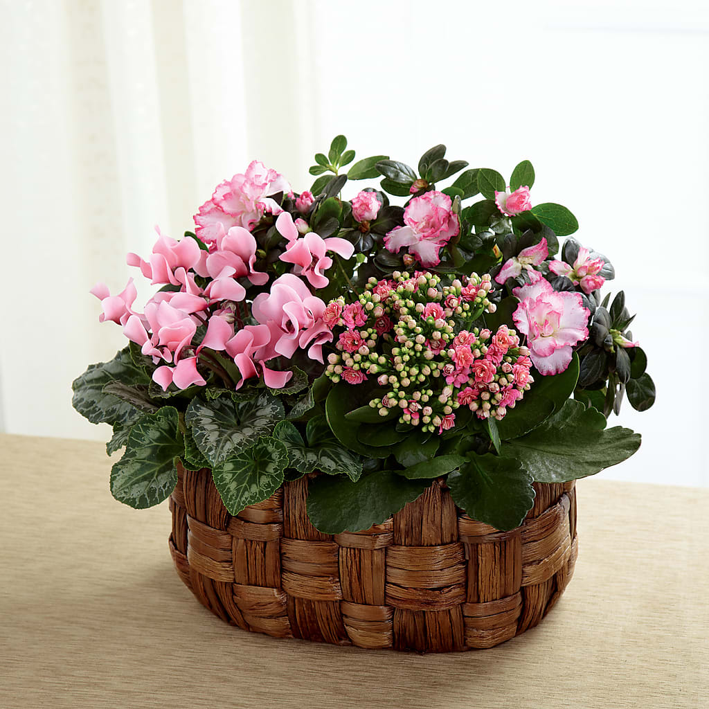 Pink Assortment – MY LADY'S FLORIST, Westland MI