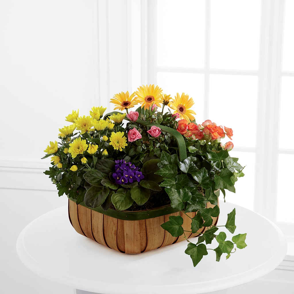 Gentle Blossoms Basket – MY LADY'S FLORIST, Westland MI