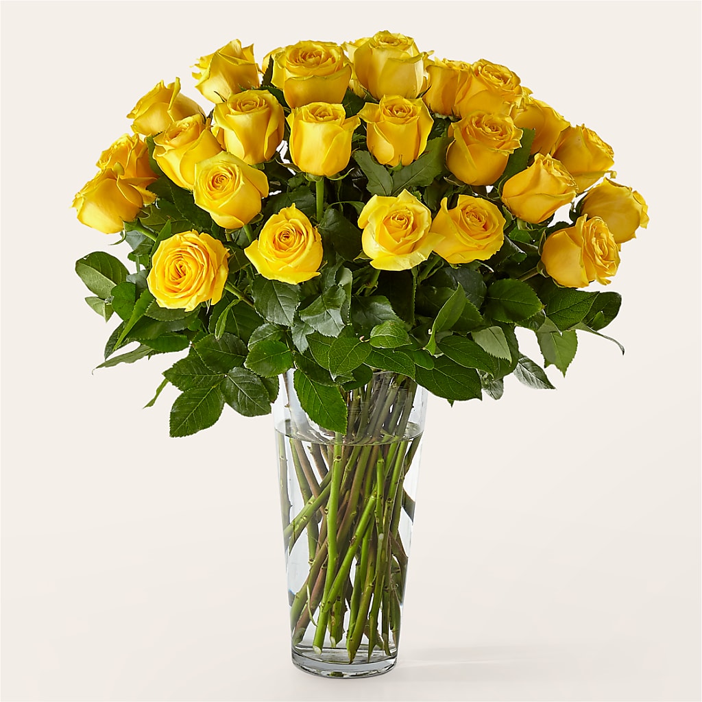 Long Stem Yellow Rose Bouquet – MY LADY'S FLORIST, Westland MI