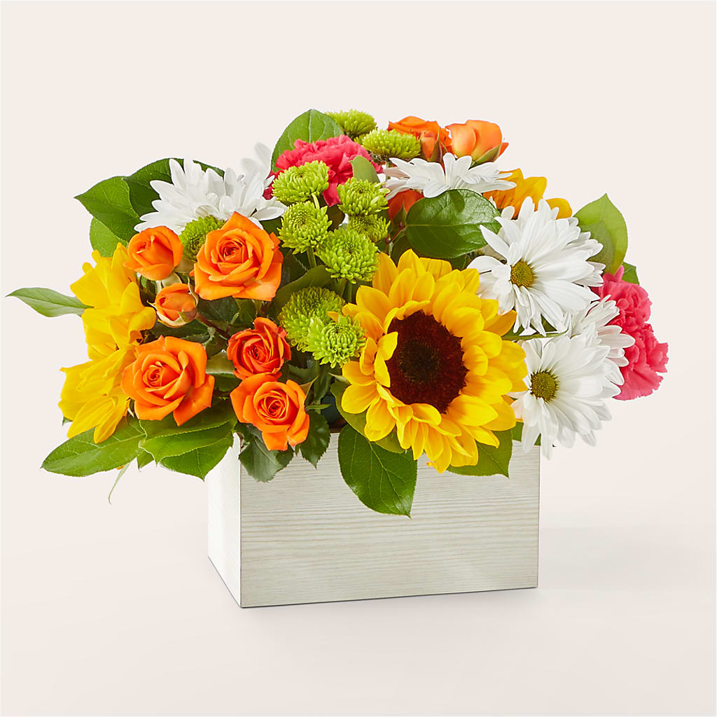 Sun-drenched Blooms Box Bouquet – MY LADY'S FLORIST, Westland MI