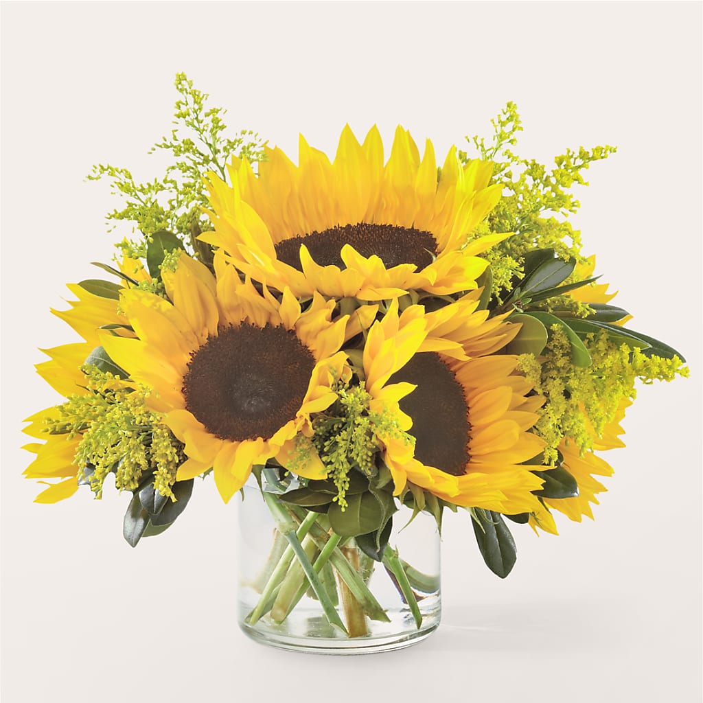 Beaming Sunflower Bouquet – MY LADY'S FLORIST, Westland MI