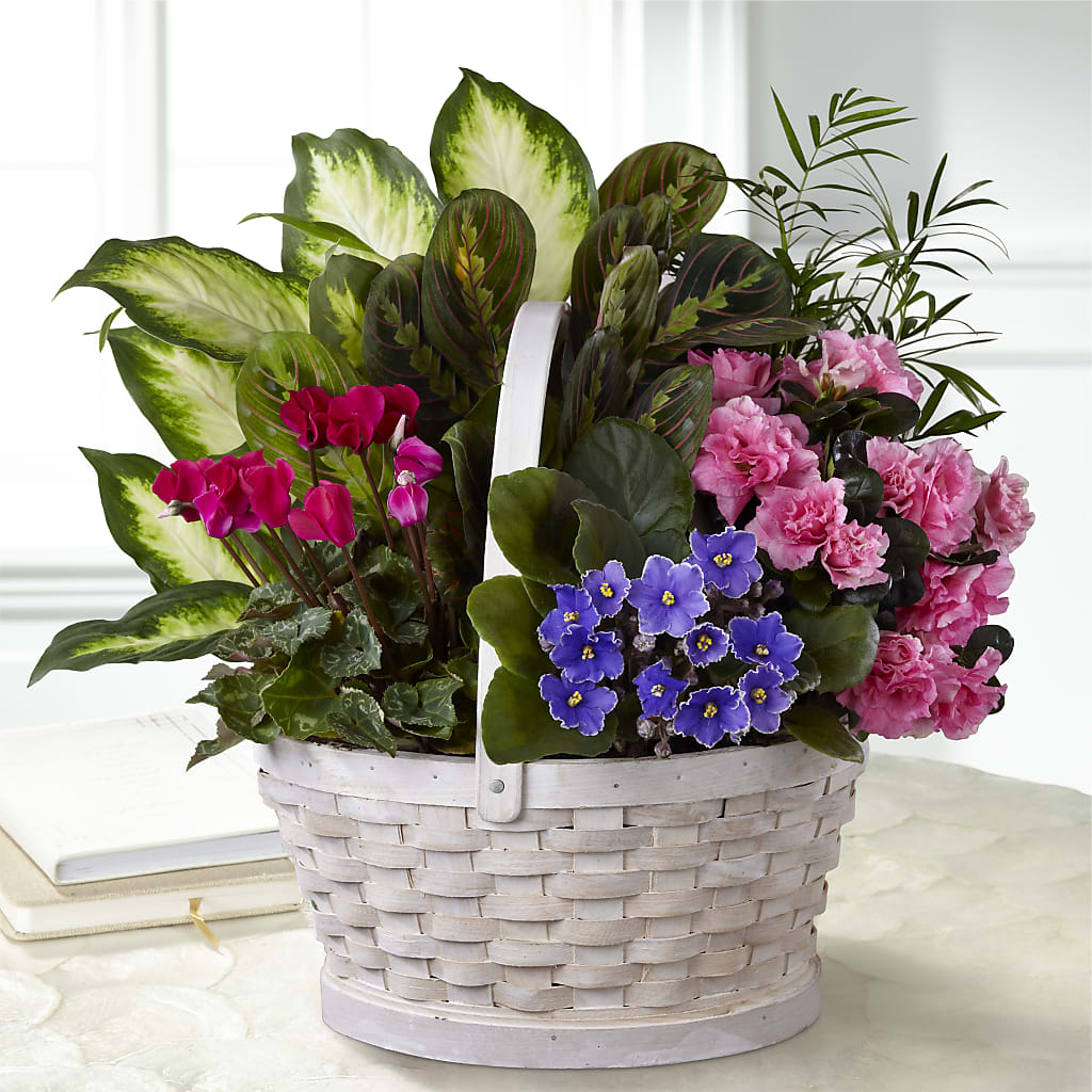 Peaceful Garden Planter – MY LADY'S FLORIST, Westland MI