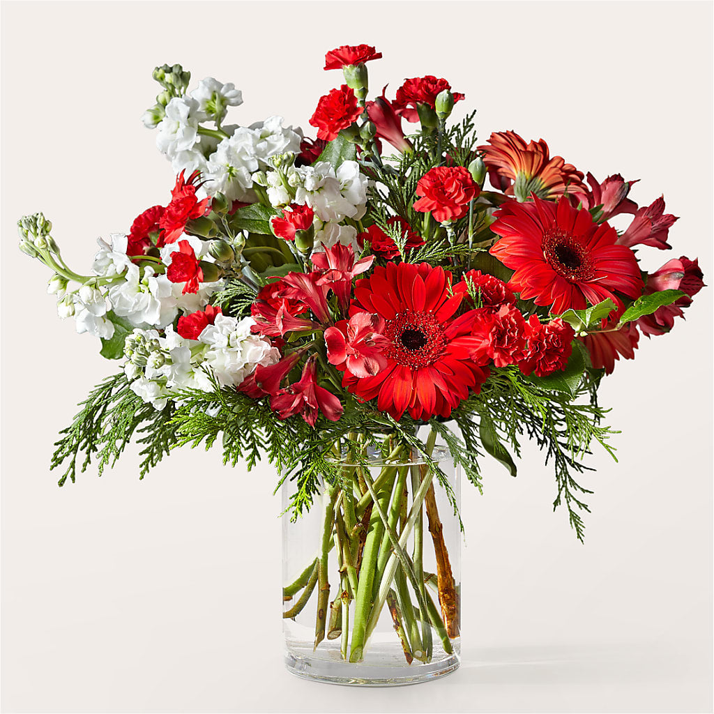 Holidaisy Bouquet – MY LADY'S FLORIST, Westland MI
