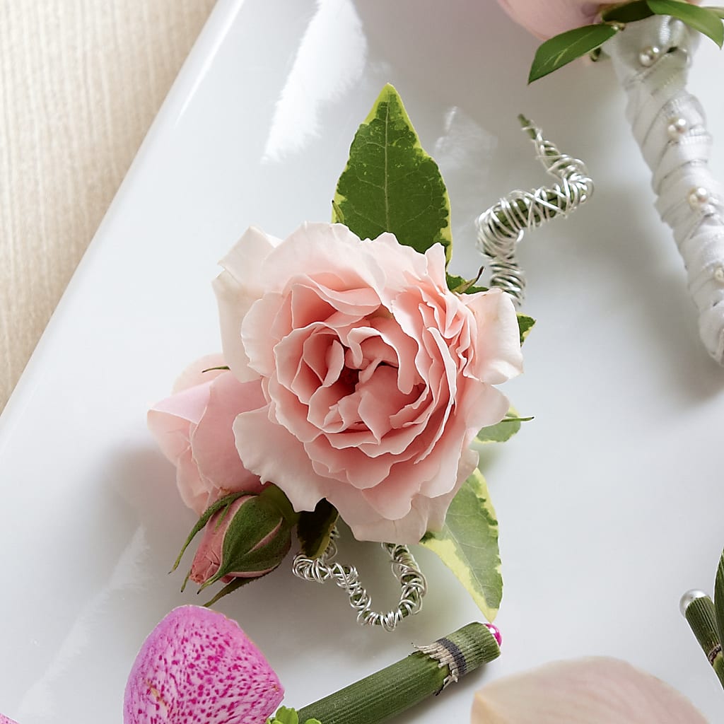 Pink Spray Rose Boutonniere – MY LADY'S FLORIST, Westland MI