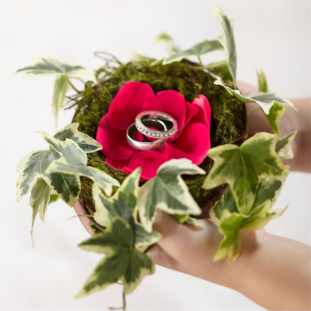 Lila Rose Ring Nest – MY LADY'S FLORIST, Westland MI