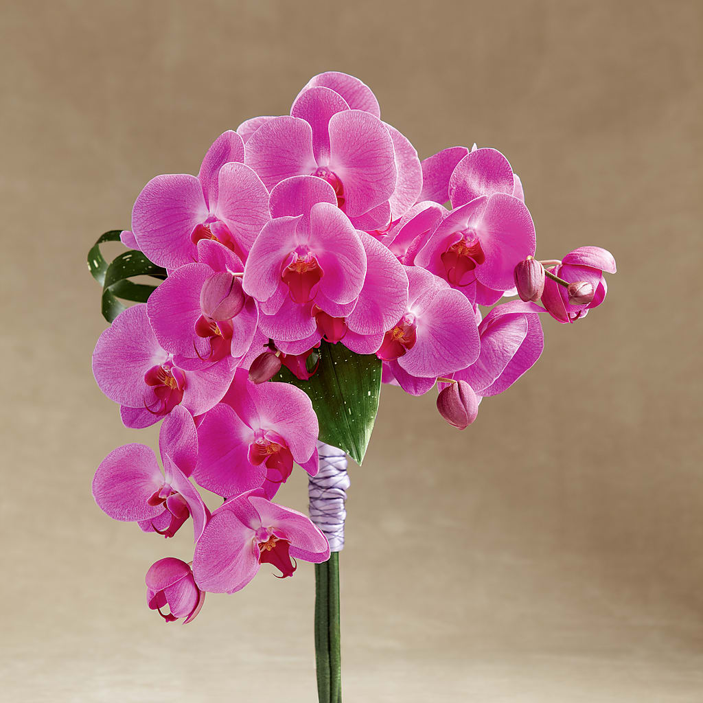 Glorious Bouquet – MY LADY'S FLORIST, Westland MI