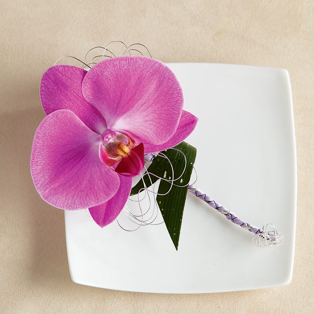Glorious Boutonniere – MY LADY'S FLORIST, Westland MI