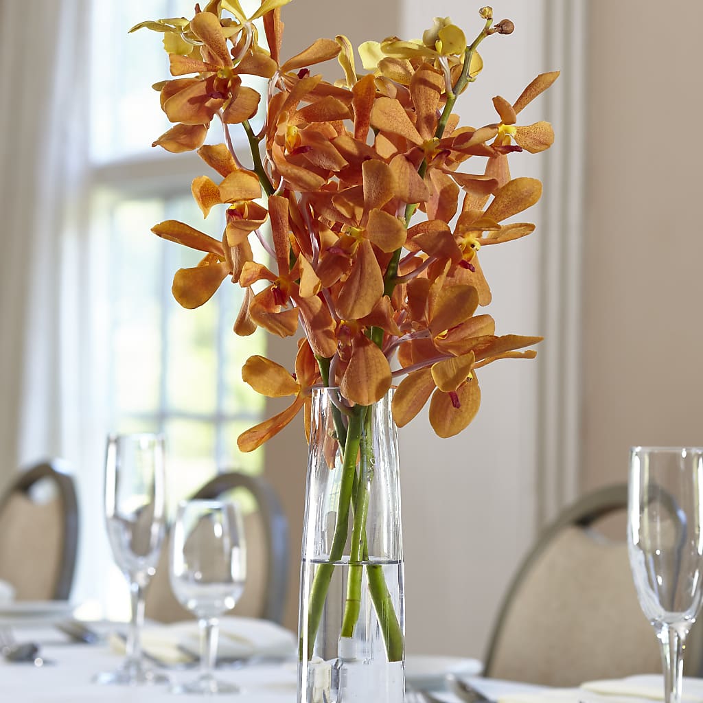 Orange Mokara Bud Vase – MY LADY'S FLORIST, Westland MI