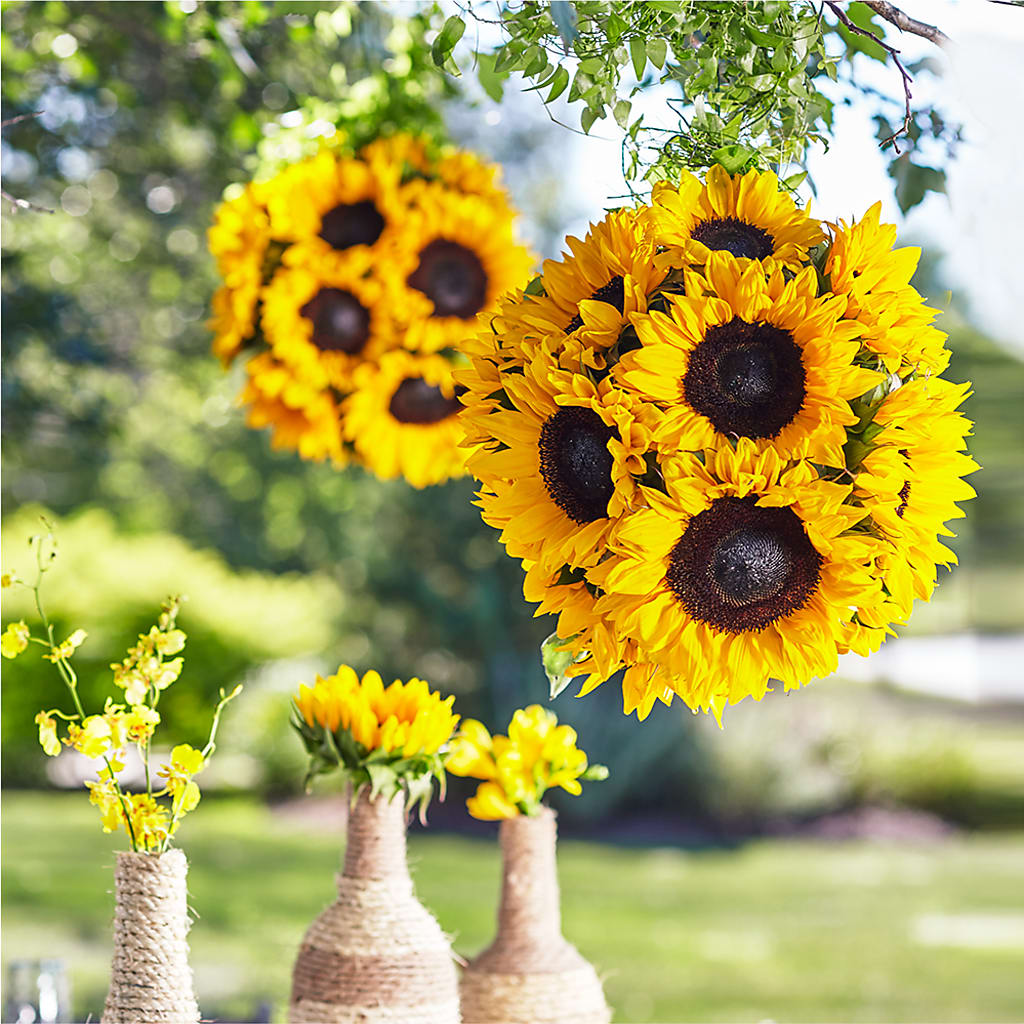Sublime Garden Hanging Arrangement – MY LADY'S FLORIST, Westland MI