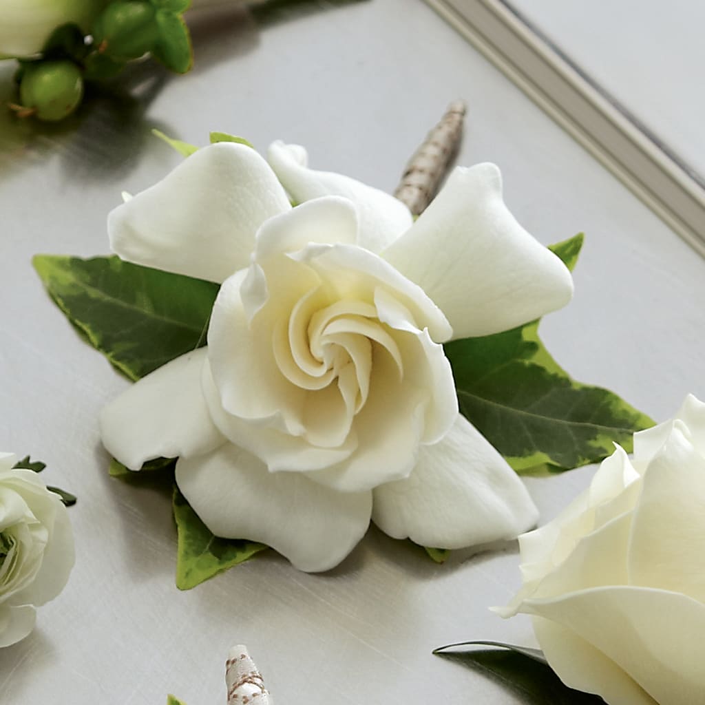 Gardenia Boutonniere – MY LADY'S FLORIST, Westland MI