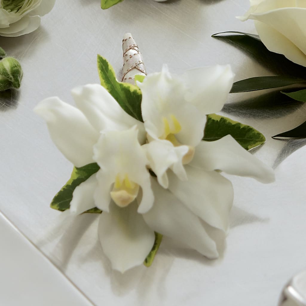 White Mini Cymbidium Boutonniere – MY LADY'S FLORIST, Westland MI