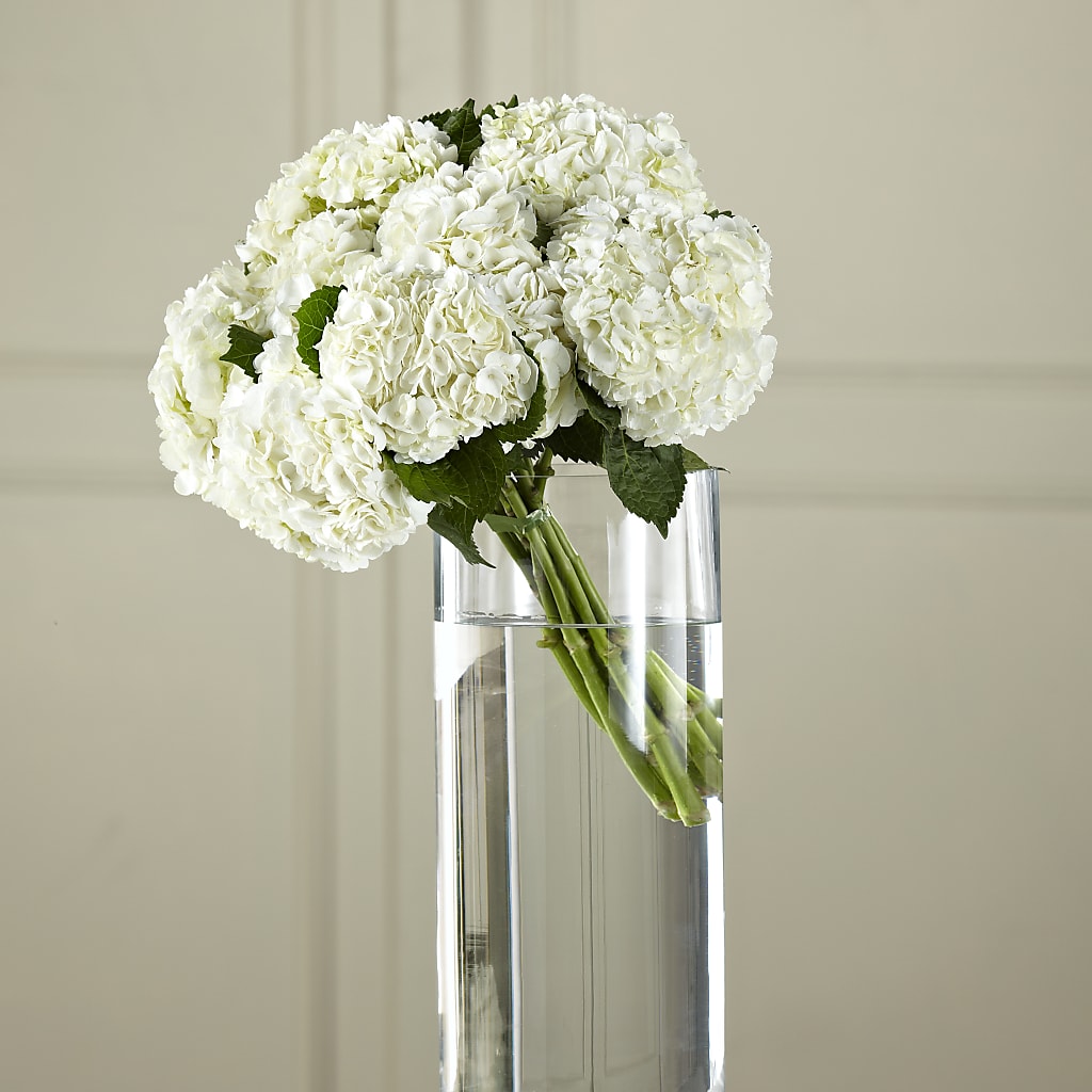 White Hydrangea Hand-Tied Bouquet – MY LADY'S FLORIST, Westland MI