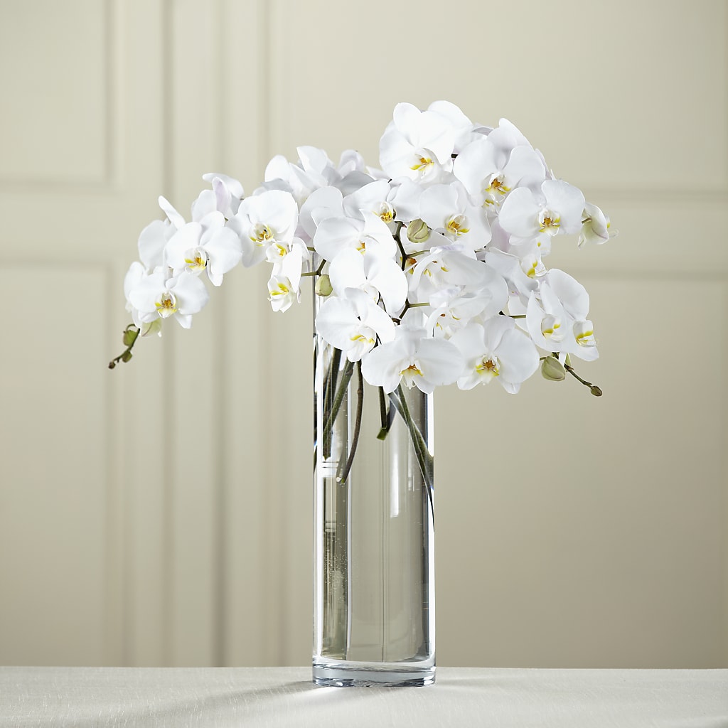 White Phalaenopsis Bouquet – MY LADY'S FLORIST, Westland MI