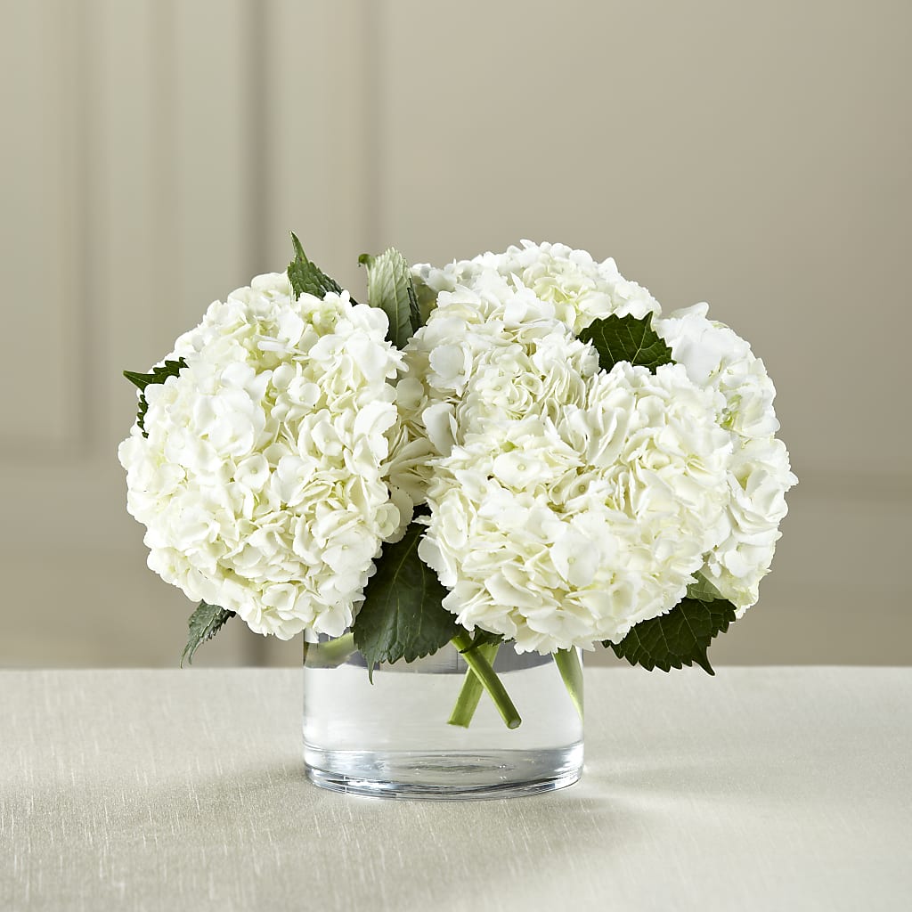 White Hydrangea Bouquet – MY LADY'S FLORIST, Westland MI