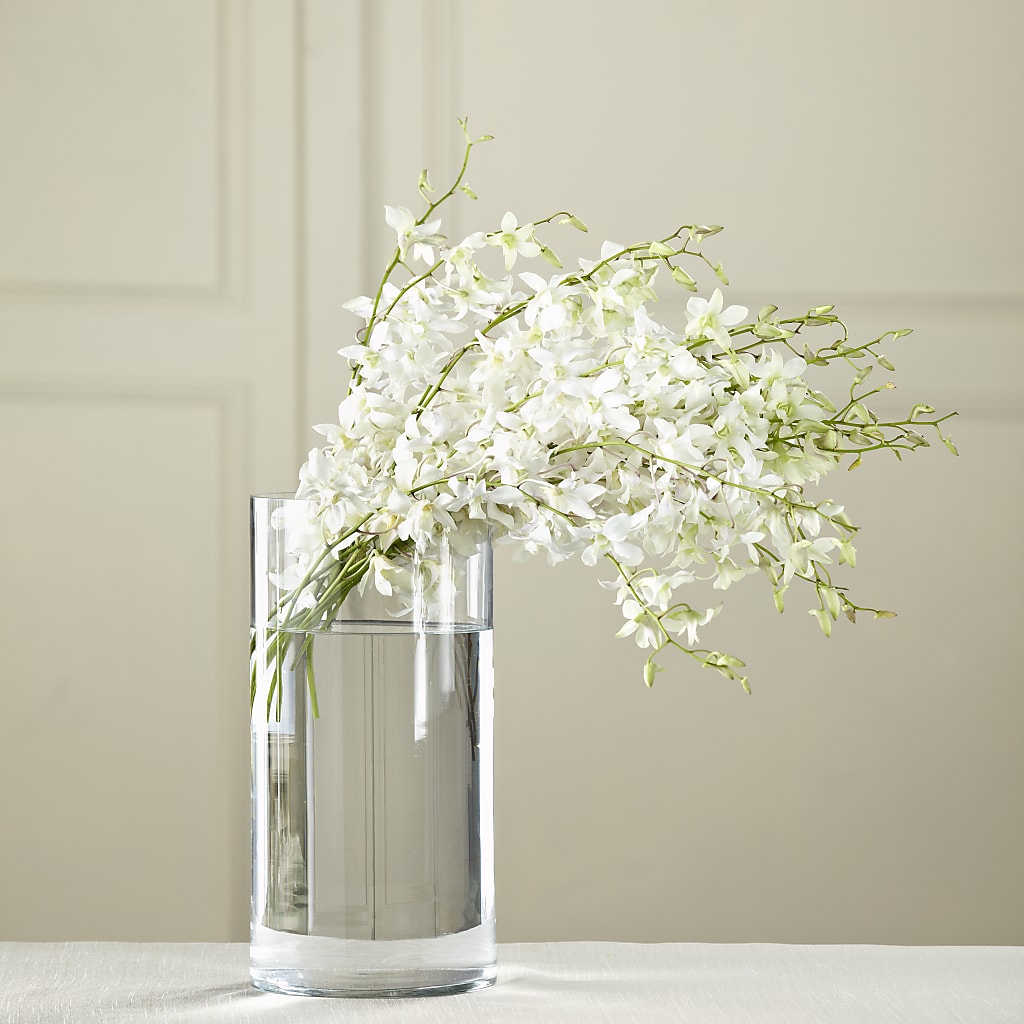 White Dendrobium Bouquet – MY LADY'S FLORIST, Westland MI