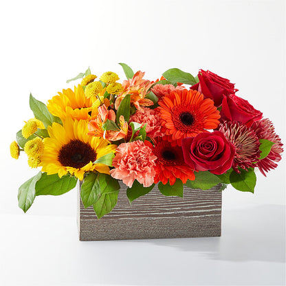 Bouquet du verger d'automne
