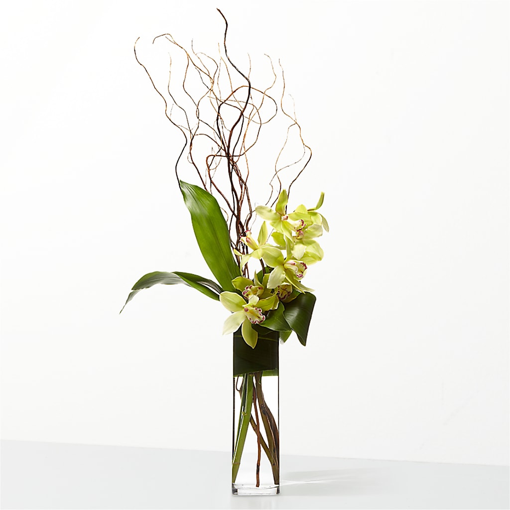 The Statement – MY LADY'S FLORIST, Westland MI