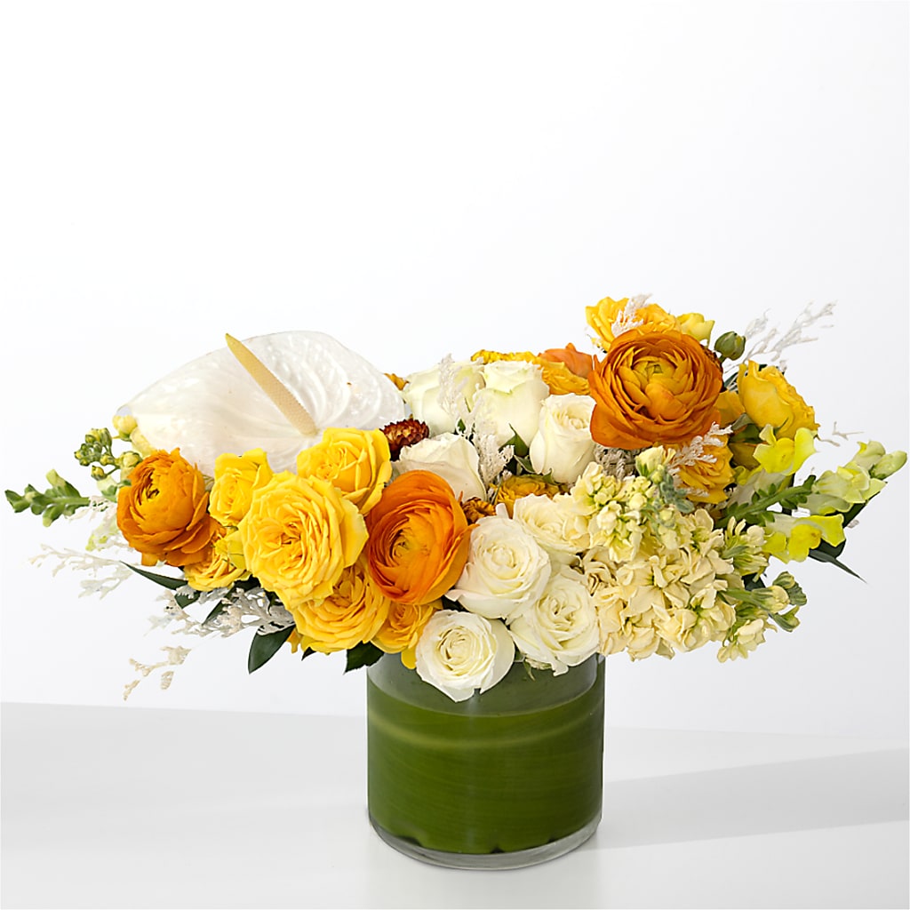 The Optimist – MY LADY'S FLORIST, Westland MI