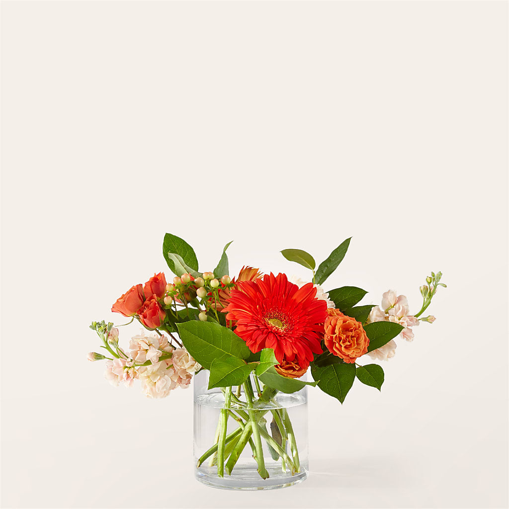Paloma S'il vous plaît Bouquet