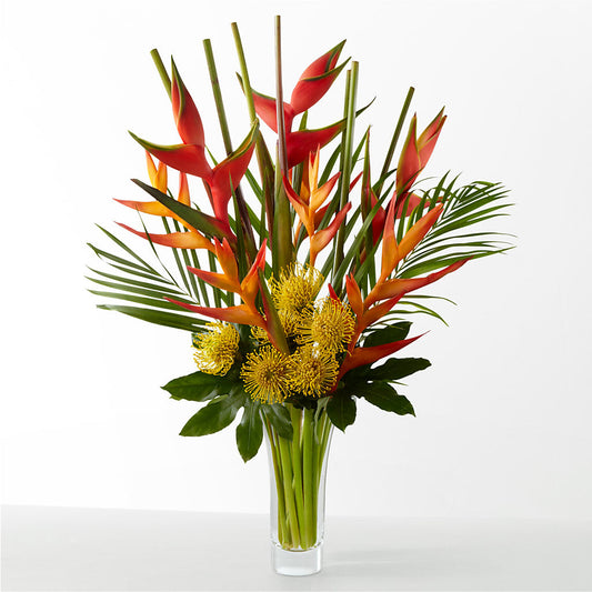 The Drama – MY LADY'S FLORIST, Westland MI